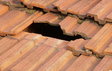 roof repair Thwaite St Mary, Norfolk